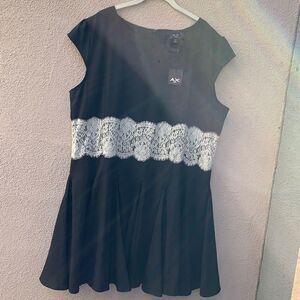 Ax Paris Curve Black US Size 22 Crew Neck Flutter Short Sleeve Lace midriff New